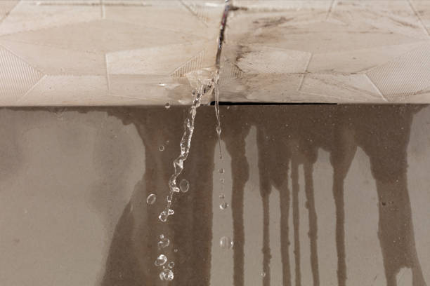 Professional Structural Drying technician working in Abbeville, AL